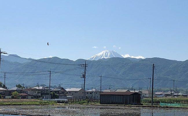 本能を呼び覚ます。ただ、やりたい方向へ進む。